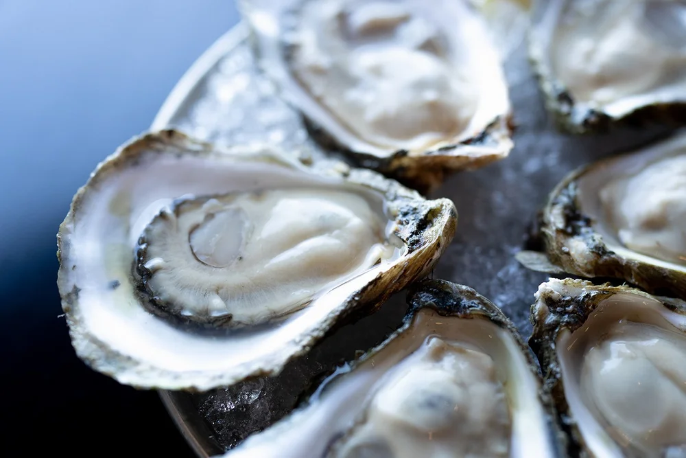 Wedding show in Maine